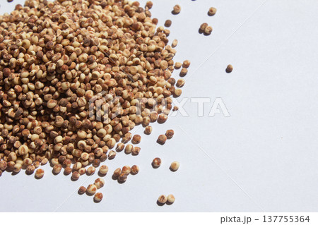 It is a sorghum placed on a white background. 137755364