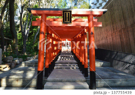 朱塗りの鳥居（稲荷神社･生田神社 境内／兵庫県神戸市中央区） 137755439