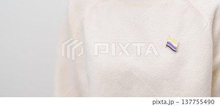 International Non Binary People July Day and Happy Pride June month and LGBTQIA with flag Brooch pin for LGBTQ, Marriage Equality Law, Pansexual, Demisexual and transgender 137755490