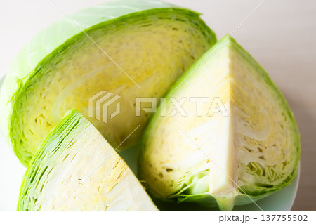 カットキャベツ カットキャベツ 137755502