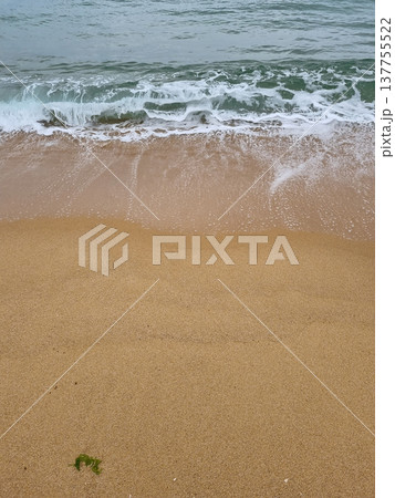 It's a beach with waves crashing in 137755522