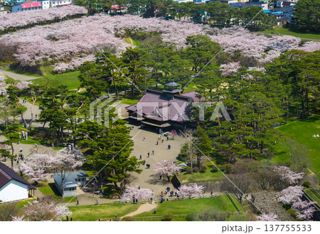 展望台から見下ろした松林の中に建つ歴史的建造物と満開の桜の風景 (北海道、函館) 展望台から見下ろした松林の中に建つ歴史的建造物と満開の桜の風景 (北海道、函館) 137755533