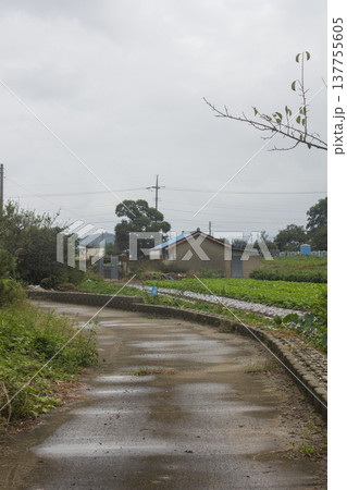 This is a rural road scene on a cloudy day. This is a rural road scene on a cloudy day. 137755605