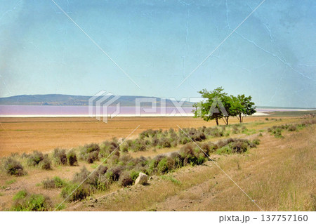 Lake Tuz Central Anatolia Turkey Pink Salt Landscape. 137757160