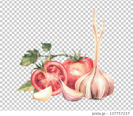 Tomatoes and garlic bulb with cloves with green leaves. Watercolor realistic vegetables for salads or preserving, farm food packaging, sauces, recipe. Hand drawn illustration isolated from background. Tomatoes and garlic bulb with cloves with green leaves. Watercolor realistic vegetables for salads or preserving, farm food packaging, sauces, recipe. Hand drawn illustration isolated from background. 137757237