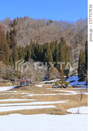 白馬山麓　雪解けの春 137757616