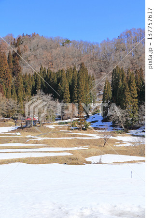白馬山麓 雪解けの春 白馬山麓 雪解けの春 137757617