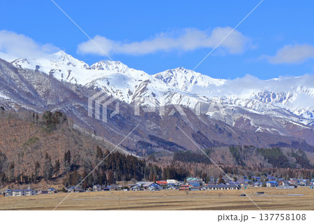早春の白馬　山麓から望む白馬三山 137758108