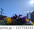笠間芸術の森公園 137758343