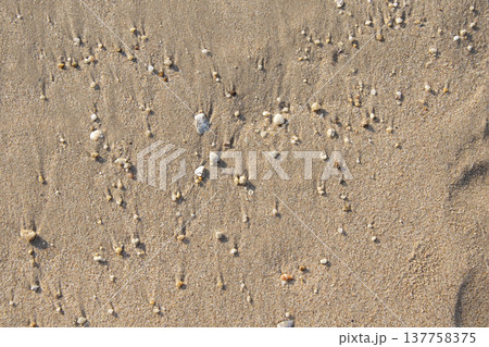 sand on the beach background. Top view sand on the beach background. Top view 137758375