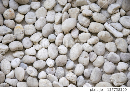 abstract background with dry round white stones 137758390