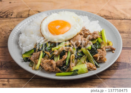 小松菜と豚肉の炒め物ワンプレート 小松菜と豚肉の炒め物ワンプレート 137758475