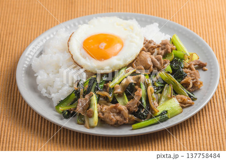 小松菜と豚肉の炒め物ワンプレート 小松菜と豚肉の炒め物ワンプレート 137758484