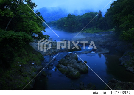 森の中の岩の上から見た風景 137758927