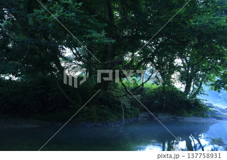 森の中の岩の上から見た風景 森の中の岩の上から見た風景 137758931