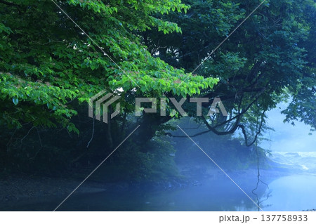 森の中の岩の上から見た風景 森の中の岩の上から見た風景 137758933