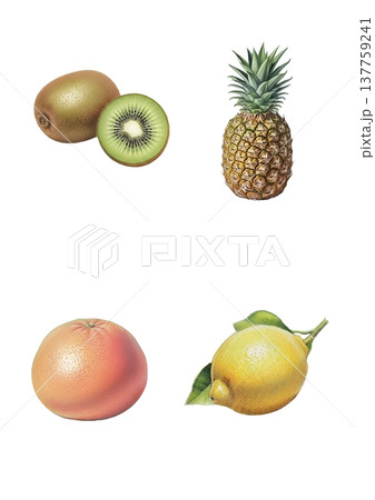 パイナップル、キウイ、オレンジ、レモンのイラスト 137759241