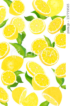 葉付きレモンの散らばる透過背景_縦 137759585