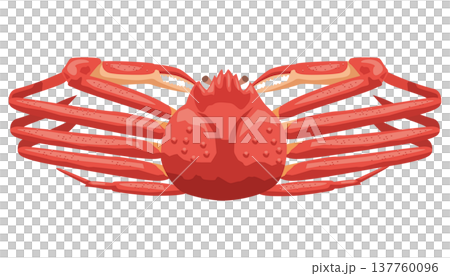 A simple illustration of a snow crab. 137760096