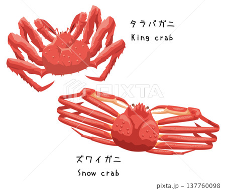 ズワイガニとタラバガニの違いイラスト 137760098