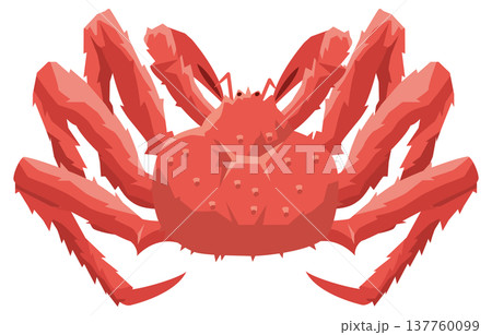 シンプルなタラバガニのイメージイラスト 137760099