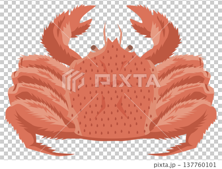 シンプルな毛ガニのイメージイラスト 137760101