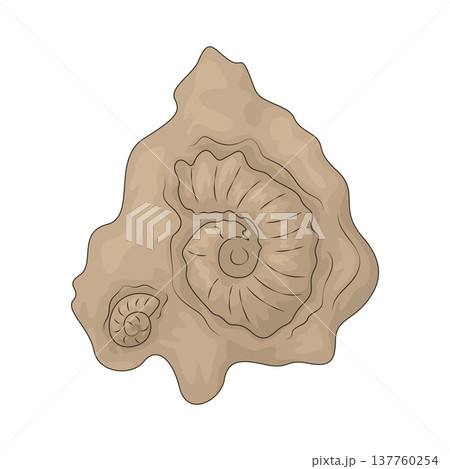 Illustration of Fossil 137760254