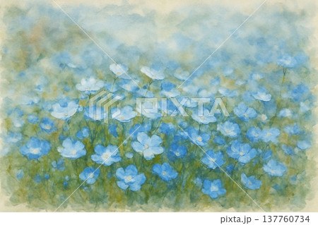 ネモフィラ 137760734