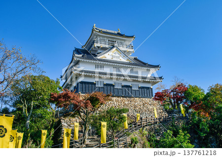 岐阜県　岐阜城　天守 137761218