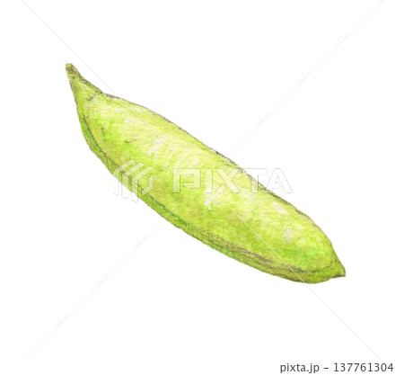 青豆のさや 水彩色鉛筆イラスト 青豆のさや 水彩色鉛筆イラスト 137761304