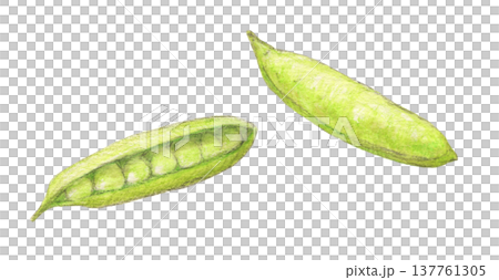 藍豆 - 水彩鉛筆插畫 藍豆 - 水彩鉛筆插畫 137761305