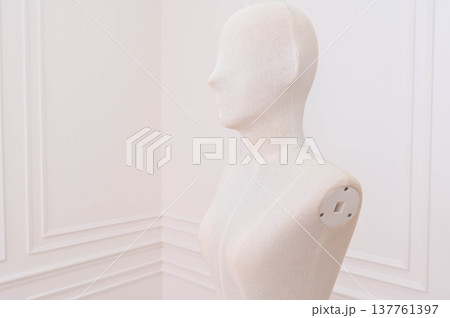 Classic white mannequin bust, serene tailor dummy for fashion design, stands in an elegant studio. minimal and anonymous form against clean background Classic white mannequin bust, serene tailor dummy for fashion design, stands in an elegant studio. minimal and anonymous form against clean background 137761397