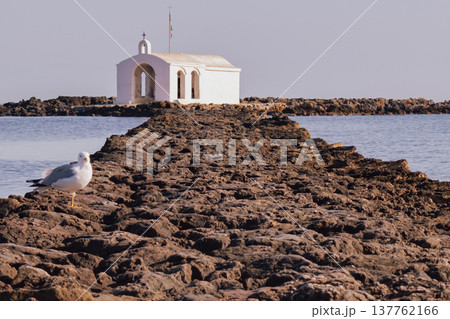 Agios Nikolaos chapel Georgioupolis with seagull view 137762166