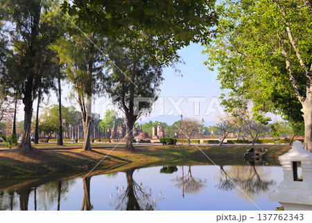 Big old tree near river, Sukhothai historical park, Thailand. Picturesque landscape with tree, river and old ruins, Sukhothai old city, Northern Thailand. Topic of vacation, travel, trip, cruise, tour 137762343