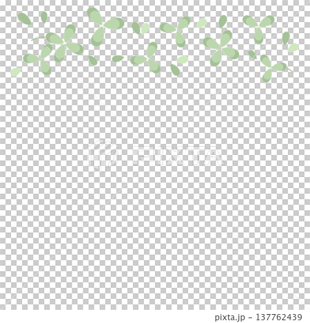 クローバー 137762439