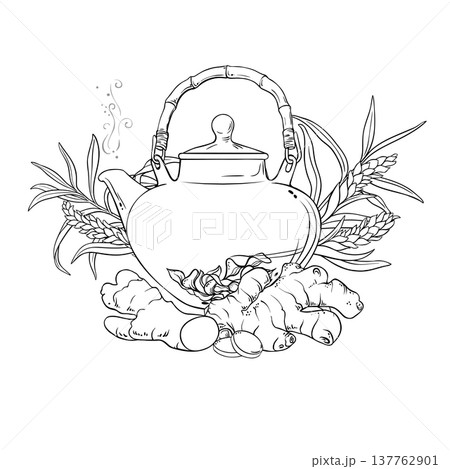 Ginger Tea in Teapot Outline Illustration. Ginger Tea in Teapot Outline Illustration. 137762901