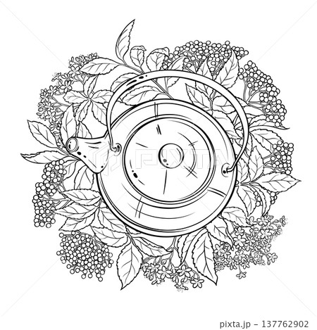 Elderberries Tea in Teapot Outline Illustration. 137762902