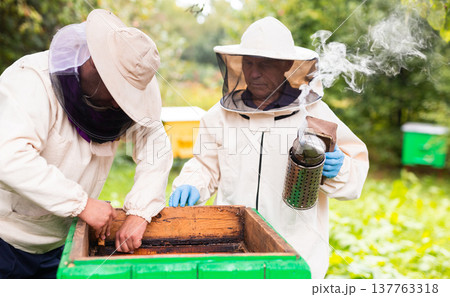 Two hivers in protective suits working Two hivers in protective suits working 137763318