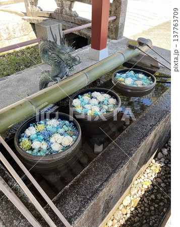 花手水 花手水 137763709