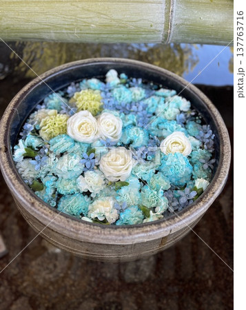 花手水 花手水 137763716
