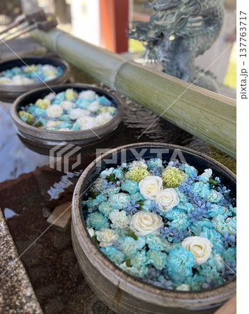 花手水 花手水 137763717