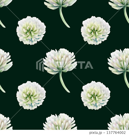 Clover white flower from vintage botanical guide,in watercolor seamless pattern.Hand drawn illustration for elegant bookplates,fine stationery design,classic botanical print collections and weddings 137764002