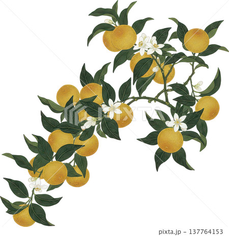 金色の縁取りが施された瑞々しいナスの和風イラスト 137764153