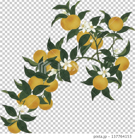 金色の縁取りが施された瑞々しいナスの和風イラスト 137764153