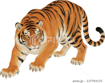 虎の和風イラスト 137764155
