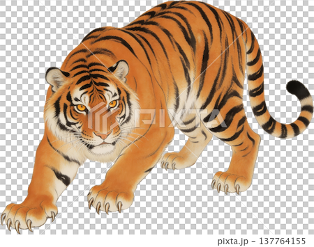 虎の和風イラスト 137764155