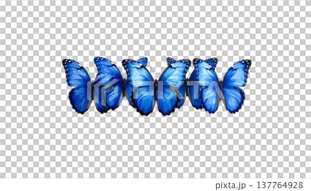 A beautiful blue and black long-tailed butterfly with vibrant wings stands out against a white background. A beautiful blue and black long-tailed butterfly with vibrant wings stands out against a white background. 137764928