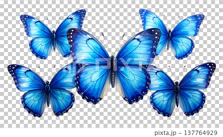 beautiful butterfly isolated on white beautiful butterfly isolated on white 137764929