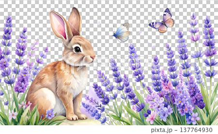 easter bunny in a meadow easter bunny in a meadow 137764930