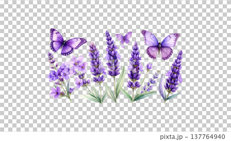Illustration of butterflies and flowers on a white background. Illustration of butterflies and flowers on a white background. 137764940